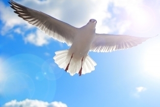 34a08f6f3922664e8367a9520b1187df_s.jpg